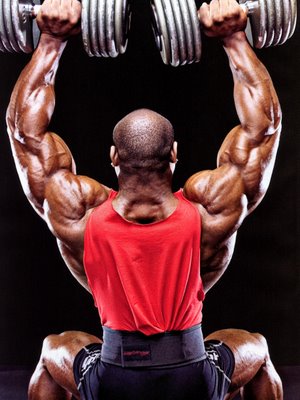 Building Muscular Strength